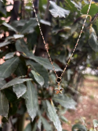 "Kelebek Zincir Aynalı Yıldız Kolye, 1,69 gram tasarımıyla Altın Kolye kategorisinde, Goldium imzasıyla modern bir görünüm sunar