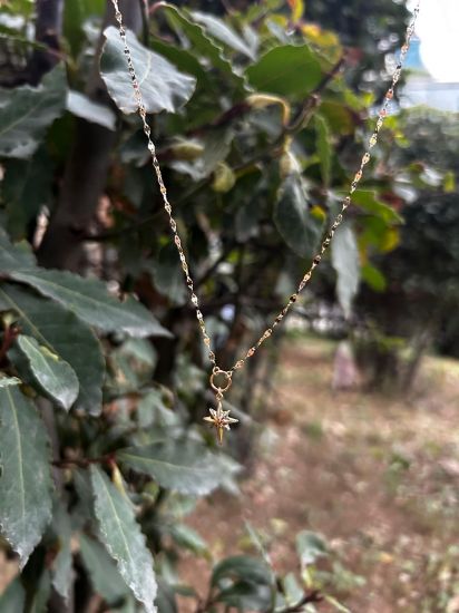 Kelebek Zincir Kutup Yıldızı Kolye, 1,54 gram ve özenli işçilikle Altın Yıldız Kolye’in günlük ve özel kullanıma uygun bir Goldium modelidir.